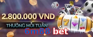 6m88 bet